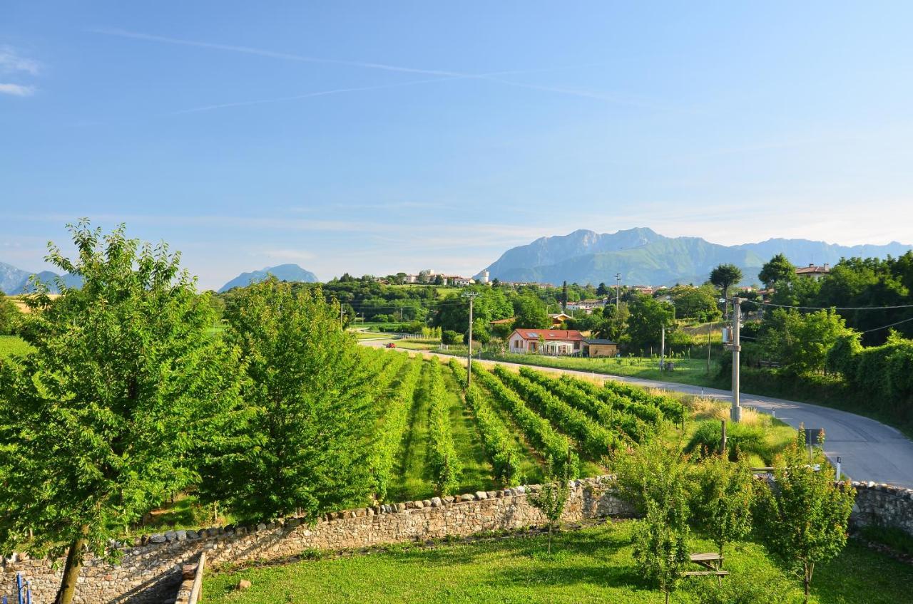 Agriturismo Borgo Floreani Vendoglio Exteriér fotografie